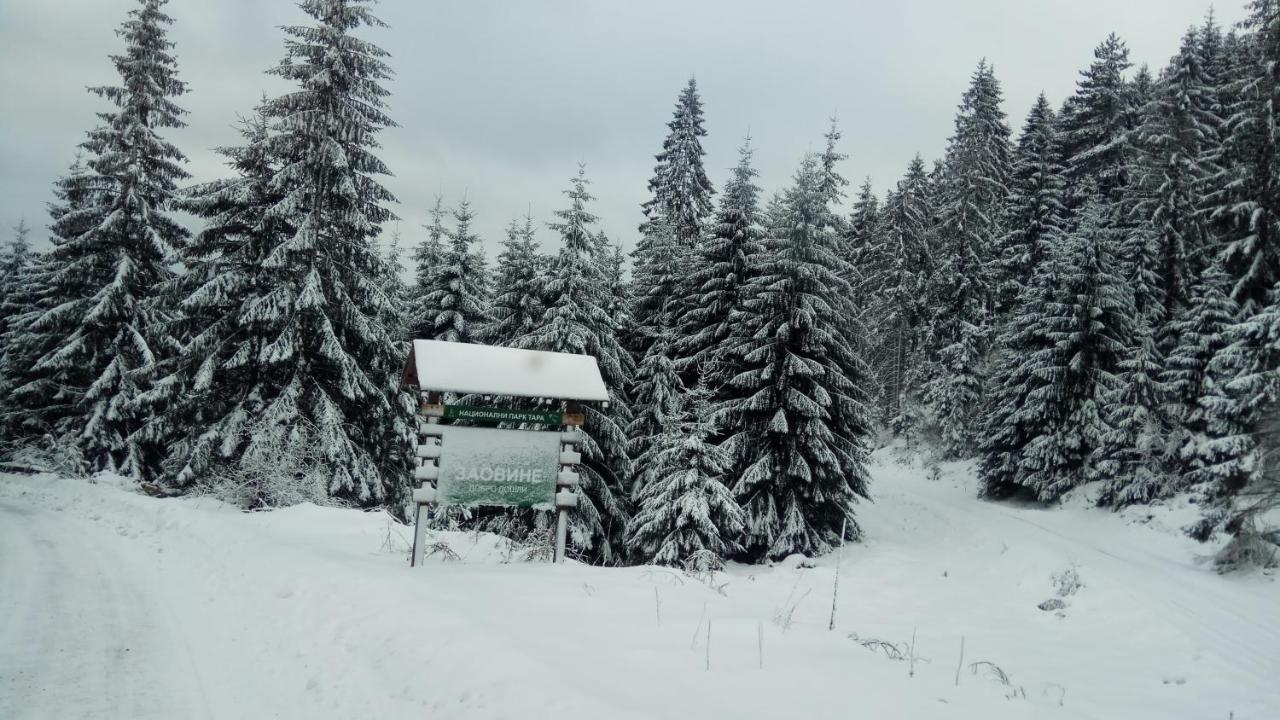 Rajski pogled  Willa Zaovine Zewnętrze zdjęcie